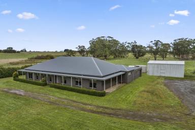 Farm Sold - VIC - Springbank - 3352 - 2012 Architecturally designed, master built 6 bedroom homestead on 30 Acres  (Image 2)