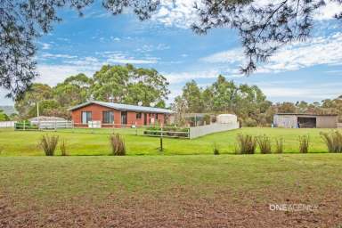 Farm Sold - TAS - Smithton - 7330 - Country Living  (Image 2)