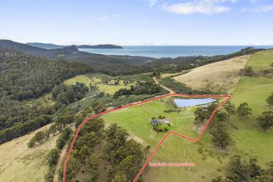 Farm For Sale - TAS - Kellevie - 7176 - Is it Time For Your Own 'Escape to the Country'? Two Dwellings Set Across Approximately 14 acres Including Your Own 'Turn-key Airbnb'.  (Image 2)