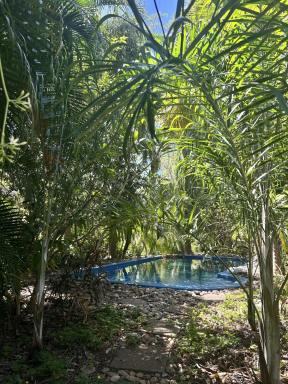 Farm Sold - NT - Humpty Doo - 0836 - 5 Acre Rural Oasis  (Image 2)