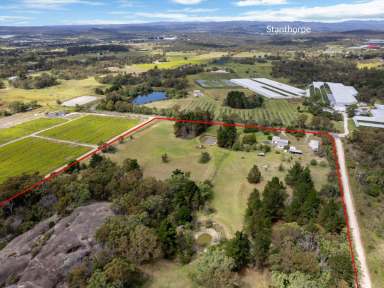 Farm Sold - QLD - Applethorpe - 4378 - OLD APRICOT ORCHARD COUNTRY, LIFESTYLE within the GRANITE BELT  (Image 2)