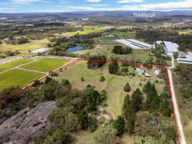 Farm For Sale - QLD - Applethorpe - 4378 - OLD APRICOT ORCHARD COUNTRY, LIFESTYLE within the GRANITE BELT  (Image 2)