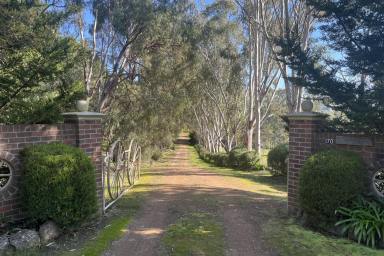 Farm For Sale - VIC - Mansfield - 3722 - Escape to your own private oasis on McMillan Point Drive.  (Image 2)