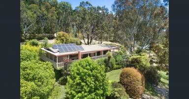 Farm For Sale - VIC - Mansfield - 3722 - Escape to your own private oasis on McMillan Point Drive.  (Image 2)