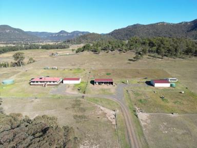 Farm Sold - nsw - Martindale - 2328 - Ideal Horse Property  (Image 2)