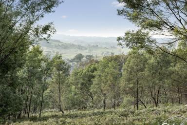 Farm Sold - VIC - Creightons Creek - 3666 - 27 Acres - Nature Lover's Paradise  (Image 2)