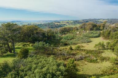 Farm Sold - VIC - Creightons Creek - 3666 - 27 Acres - Nature Lover's Paradise  (Image 2)