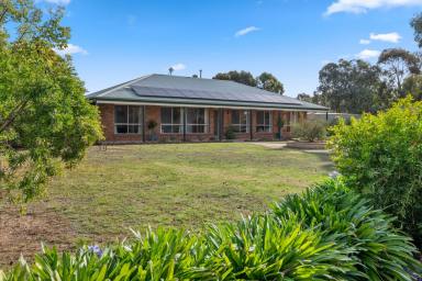 Farm Sold - VIC - Lockwood - 3551 - FAMILY FUN IN A COUNTRY OASIS  (Image 2)
