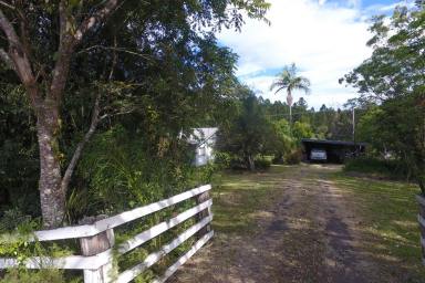 Farm For Sale - NSW - Georgica - 2480 - A country retreat with rural seclusion.  (Image 2)