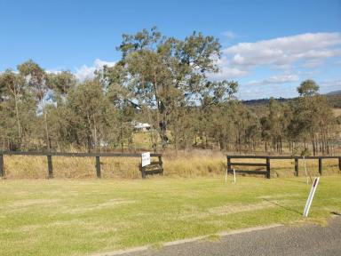 Farm Sold - NSW - Muswellbrook - 2333 - LARGE RURAL RESIDENTIAL LOT ALL FULLY SERVICED AND READY TO BUILD ON  (Image 2)