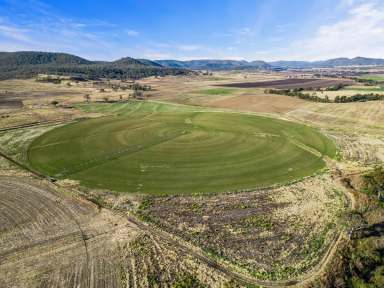 Farm Sold - QLD - Berat - 4362 - "Carinya"  (Image 2)