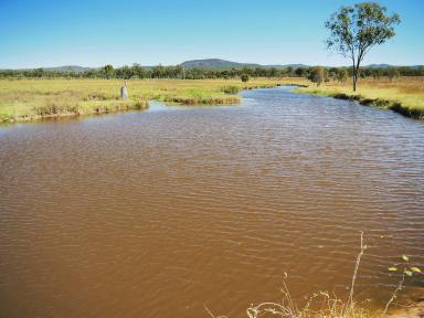Farm Auction - QLD - St Lawrence - 4707 - Breeding – Backgrounding – Beef Production  (Image 2)