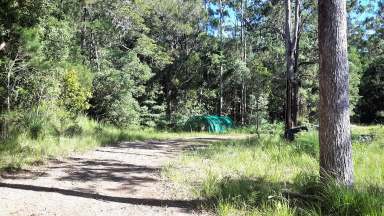 Farm Sold - QLD - Ravenshoe - 4888 - 31 acres of wilderness  (Image 2)