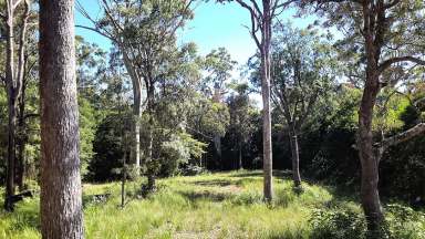 Farm Sold - QLD - Ravenshoe - 4888 - 31 acres of wilderness  (Image 2)