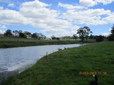 Farm Auction - QLD - Goomeri - 4601 - Ideal location – Quality country – Abundance of water  (Image 2)