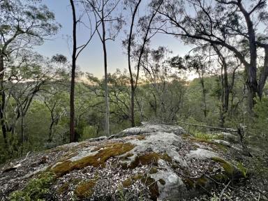 Farm For Sale - NSW - Wollombi - 2325 - Perfect Weekender in a Priceless Location!  (Image 2)