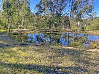 Farm Sold - NSW - Kimbriki - 2429 - Introducing Kimbriki Farmlet: A Tranquil Retreat with Endless Possibilities!  (Image 2)