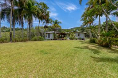 Farm For Sale - QLD - Julatten - 4871 - Introducing Sunbird Retreat - A Lifestyle Oasis  (Image 2)