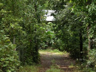 Farm For Sale - QLD - Diwan - 4873 - Daintree rainforest retreat  (Image 2)