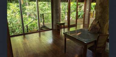 Farm For Sale - QLD - Diwan - 4873 - Daintree rainforest retreat  (Image 2)