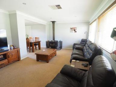 Farm Sold - NSW - Bingara - 2404 - Stylish Modern Home on Large Block  (Image 2)