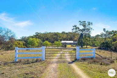 Farm Sold - NSW - Denman - 2328 - "PIRRAMIMMA" - Moon and Stars  (Image 2)