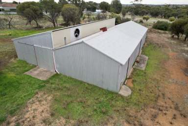 Farm Sold - WA - Beverley - 6304 - Fantastic Opportunity awaits at 18 Hunt Rd Beverley!                                  3.93ha  (Image 2)