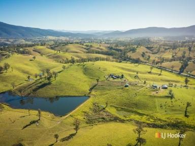 Farm Sold - NSW - Cobargo - 2550 - "WINGROVE'  (Image 2)