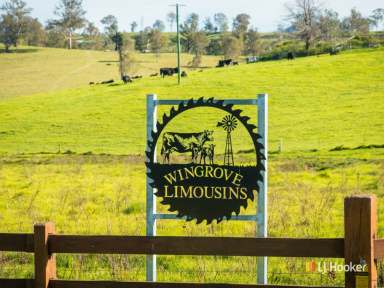 Farm Sold - NSW - Cobargo - 2550 - "WINGROVE'  (Image 2)