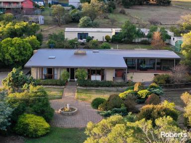 Farm Sold - TAS - Brighton - 7030 - A Rare Opportunity to Make Your Dream Home a Reality  (Image 2)