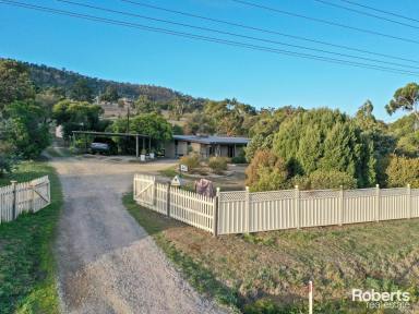 Farm Sold - TAS - Brighton - 7030 - A Rare Opportunity to Make Your Dream Home a Reality  (Image 2)