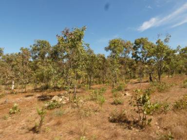 Farm For Sale - NT - Adelaide River - 0846 - Just under 500 Acres  (Image 2)