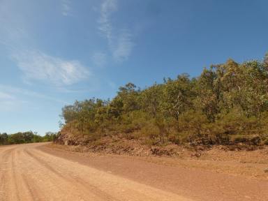Farm For Sale - NT - Adelaide River - 0846 - Just under 500 Acres  (Image 2)