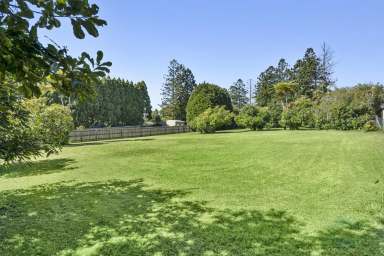 Farm Sold - QLD - Maleny - 4552 - SOLD BY BRANT & BERNHARDT PROPERTY!  (Image 2)