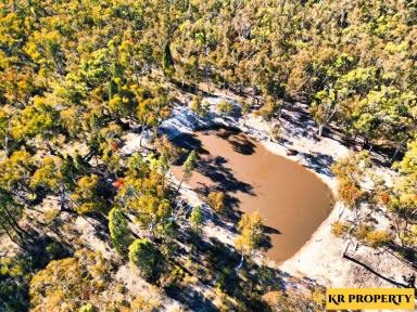 Farm Sold - NSW - Coonabarabran - 2357 - PERFECT LIFESTYLE  AND GETAWAY BLOCK ON 580 ACRES  (Image 2)