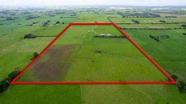 Farm Sold - VIC - Purnim - 3278 - "Melbek Farm" - Warrnambool Fringe - 95.87 Productive Acres  (Image 2)