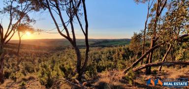 Farm For Sale - VIC - Everton Upper - 3678 - Endless Opportunity  (Image 2)