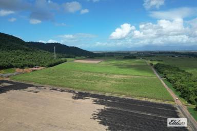 Farm Sold - QLD - Tully - 4854 - 117 acres, 4 Minutes to town  (Image 2)
