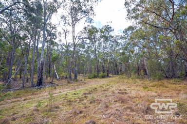 Farm Sold - NSW - Dundee - 2370 - The Perfect Weekender Block  (Image 2)