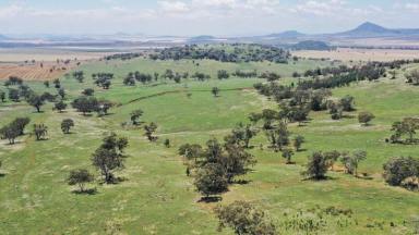 Farm Sold - NSW - Mullaley - 2379 - Wirraway East - Liverpool Plains Grazing  (Image 2)
