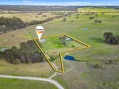 Farm Sold - VIC - Sarsfield - 3875 - VERSATILE PROPERTY WITH VIEWS  (Image 2)