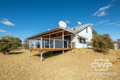 Farm Sold - NSW - Emmaville - 2371 - Your Dream Lifestyle Awaits!  (Image 2)