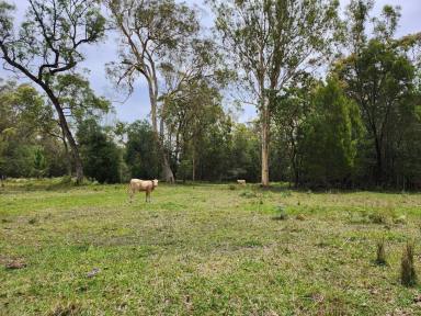 Farm For Sale - QLD - Wamuran - 4512 - Rare 40 acre property - your perfect rural escape at a recently reduced price!  (Image 2)