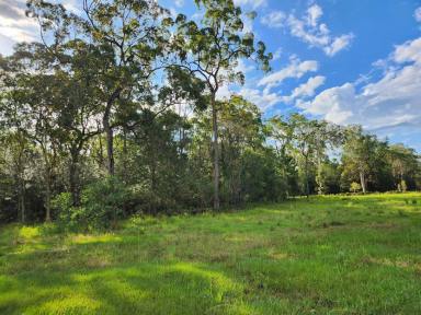 Farm For Sale - QLD - Wamuran - 4512 - Rare 41 Acre Property rural retreat or potential transport hub - Price Dropped!  (Image 2)