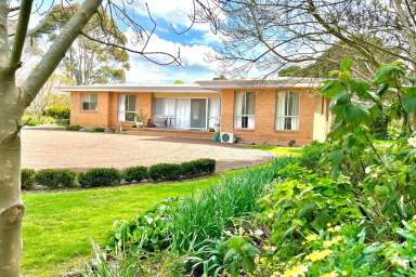 Farm Sold - VIC - Mingay - 3324 - Immediate Income - Exceptional Lifestyle  (Image 2)