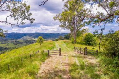 Farm Sold - NSW - Georgica - 2480 - Escape to Your Own Private Oasis on 100 Acres of Lush Land in Jiggi! Owner committed elsewhere  (Image 2)