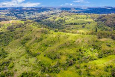 Farm Sold - NSW - Georgica - 2480 - Escape to Your Own Private Oasis on 100 Acres of Lush Land in Jiggi! Owner committed elsewhere  (Image 2)