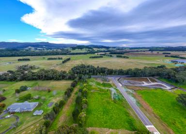 Farm Sold - NSW - Berry - 2535 - Perfect time to secure a level block in Serenity Ridge  (Image 2)