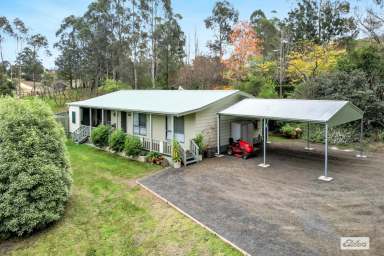 Farm Sold - NSW - Bemboka - 2550 - YOUR IDEAL BEMBOKA HIDEAWAY: COMFORT AND POTENTIAL AWAITS!  (Image 2)