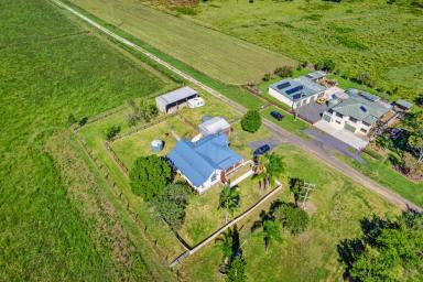 Farm For Sale - NSW - Swan Bay - 2471 - Cattle or Cropping Property  (Image 2)